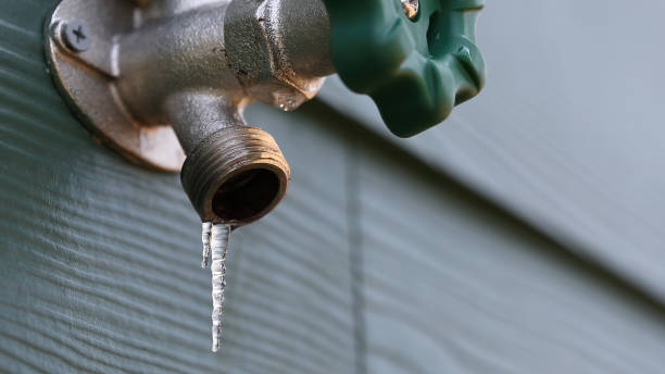 Best Sprinkler Systems  in Adamstown, PA